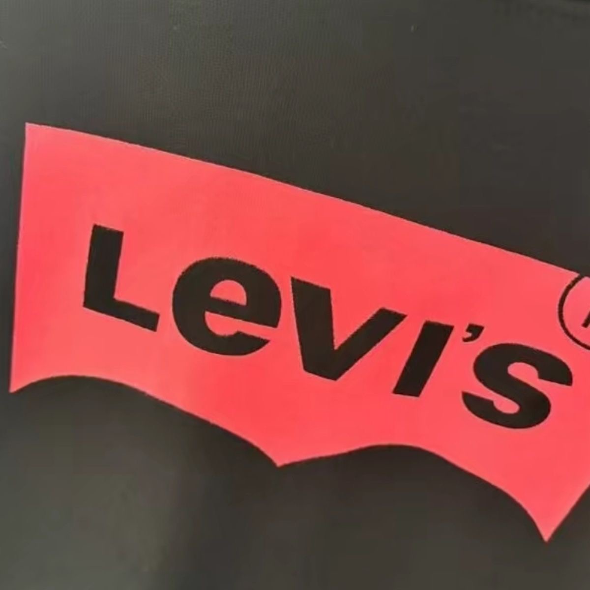 סווטשירט קפוצון סנופי ליוויס לנשים LEVI'S – תמונה 4